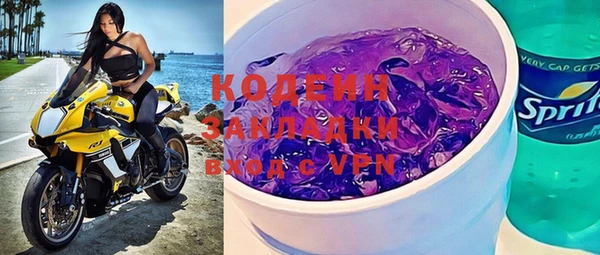 шишки Медвежьегорск