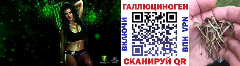 сколько стоит  Алагир  Галлюциногенные грибы MAGIC MUSHROOMS 