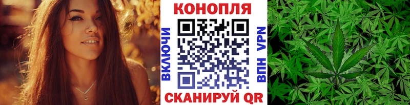 Бошки Шишки AK-47 Алагир